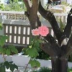 펜션 Casa Do Limoeiro *