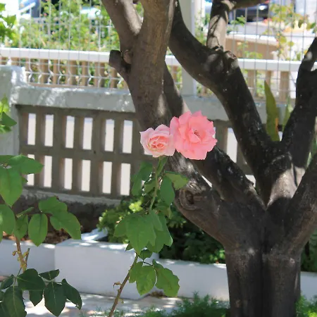 בית נופש Casa Do Limoeiro *